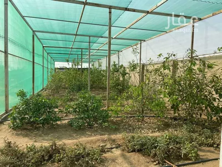 Farm for Sale in Al Quwaiiyah Al Muruj