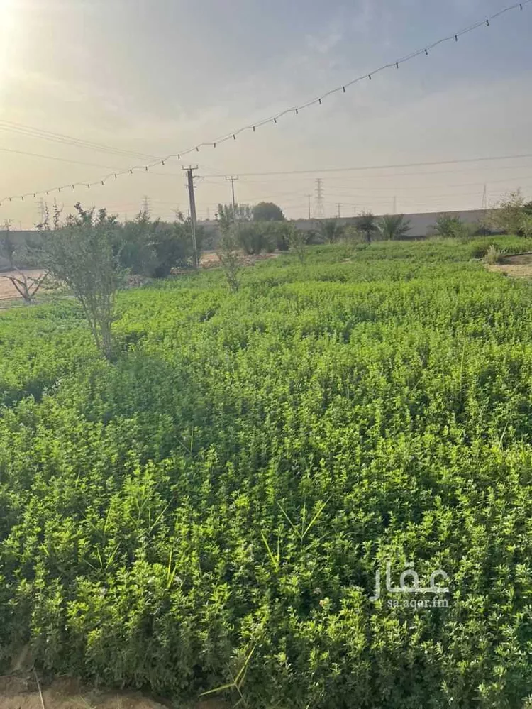 مزرعة للبيع في حي هجرة الزهوه والبيان, مدينة هجرة الزهوه والبيان, منطقة الرياض 8