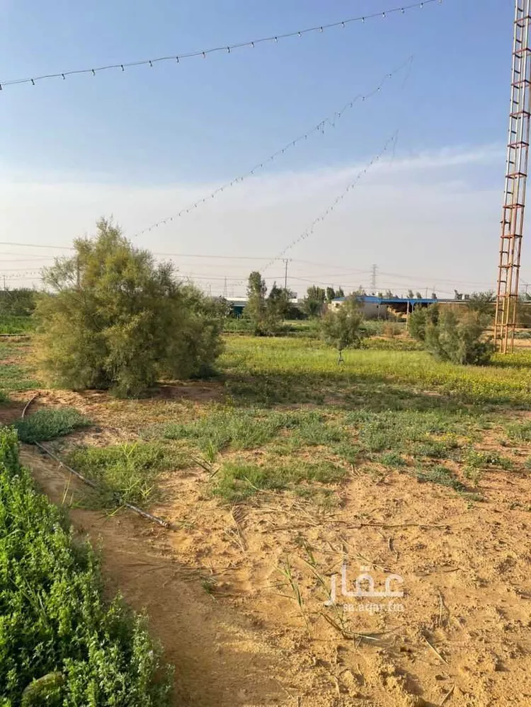 مزرعة للبيع في حي هجرة الزهوه والبيان, مدينة هجرة الزهوه والبيان, منطقة الرياض 7