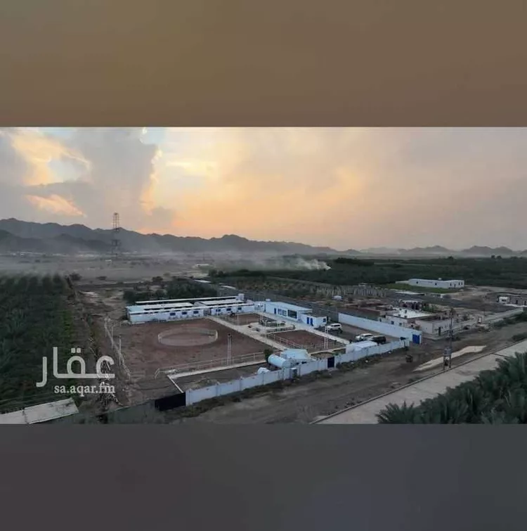 مزرعة للبيع في شارع غير مسمى, حي المندسة, مدينة المدينة المنورة, منطقة المدينة المنورة صورة 2