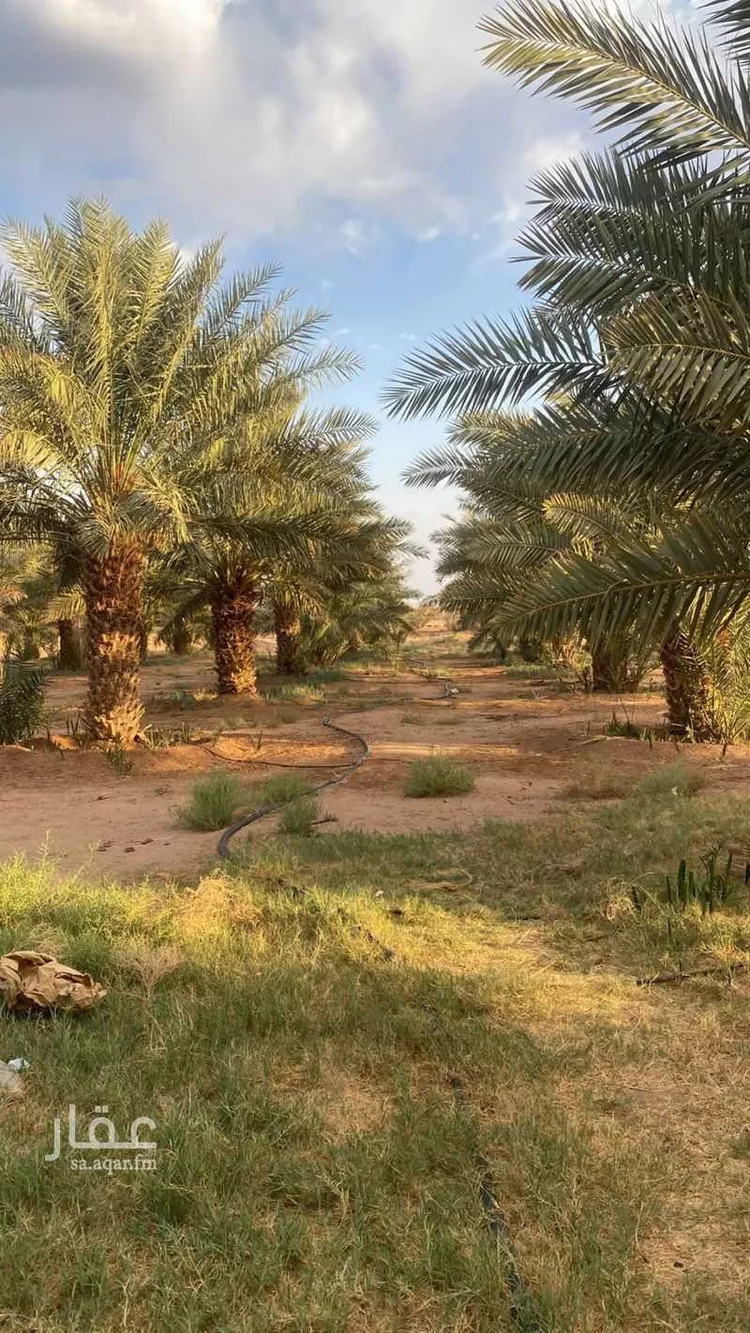 مزرعة للبيع في شارع طريق المدينة القصيم السريع, مدينة الحناكية, منطقة المدينة المنورة