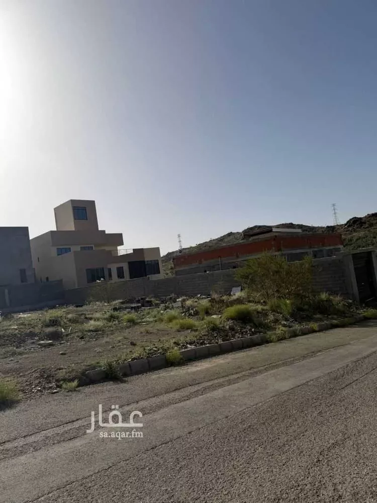 أرض للبيع في شارع خلاد الزرقي ، حي الشروق ، الباحة ، العقيق صورة 3