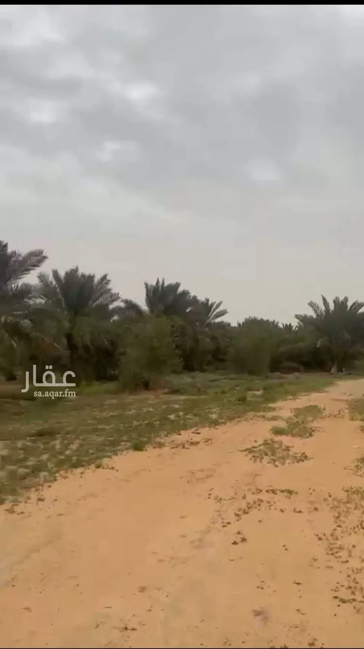 استراحة للبيع في شارع الفهري, حي خب الجطيلي, مدينة بريدة, منطقة القصيم صورة 2