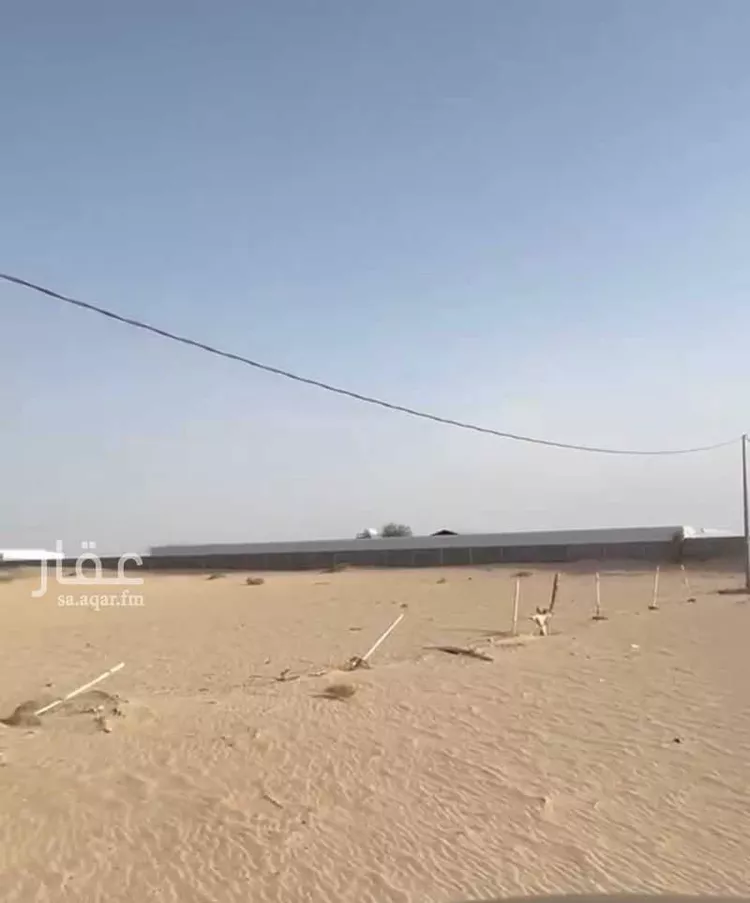 Farm for Sale in Bisha Al Nahdah صورة 3
