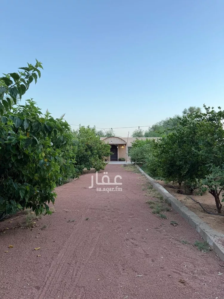مزرعة للبيع في حي العريفيه, مدينة بريدة, منطقة القصيم صورة 2