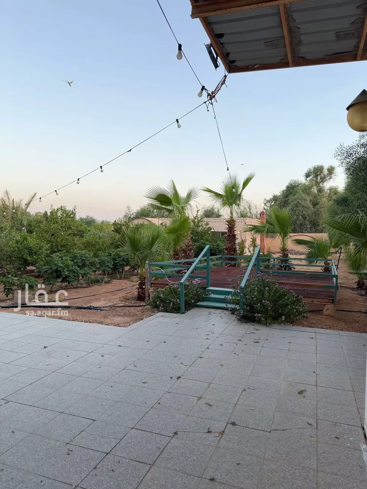 مزرعة للبيع في حي العريفيه, مدينة بريدة, منطقة القصيم صورة 4