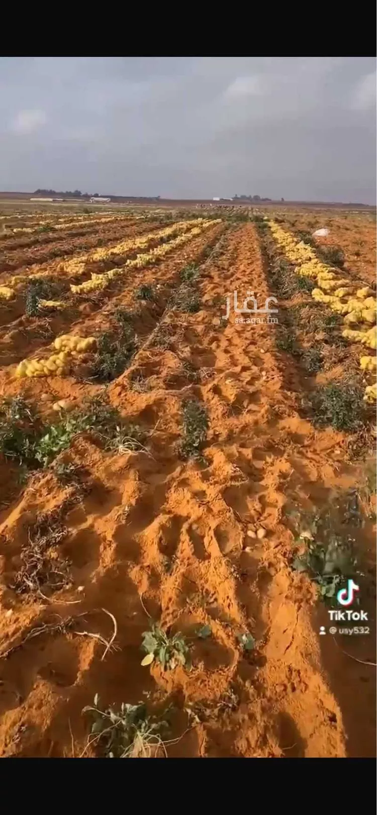 Farm for Sale in Baqaa Al Suhaibi صورة 2