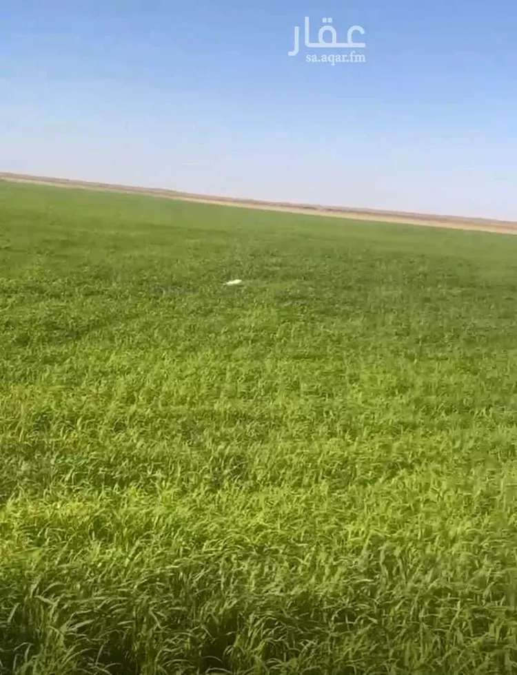 Farm for Sale in Baqaa Al Suhaibi صورة 3