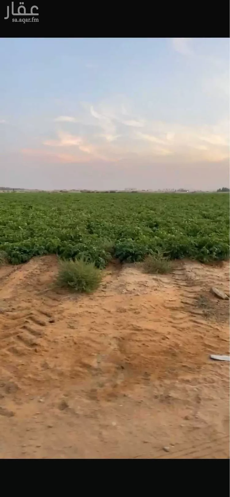 Farm for Sale in Baqaa Al Suhaibi