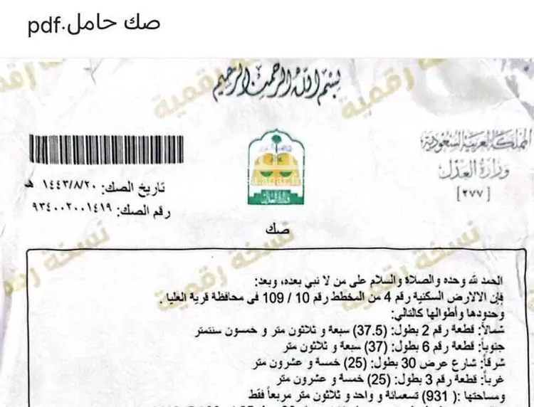 Land for Sale in Nairyah Al Faisaliah صورة 3