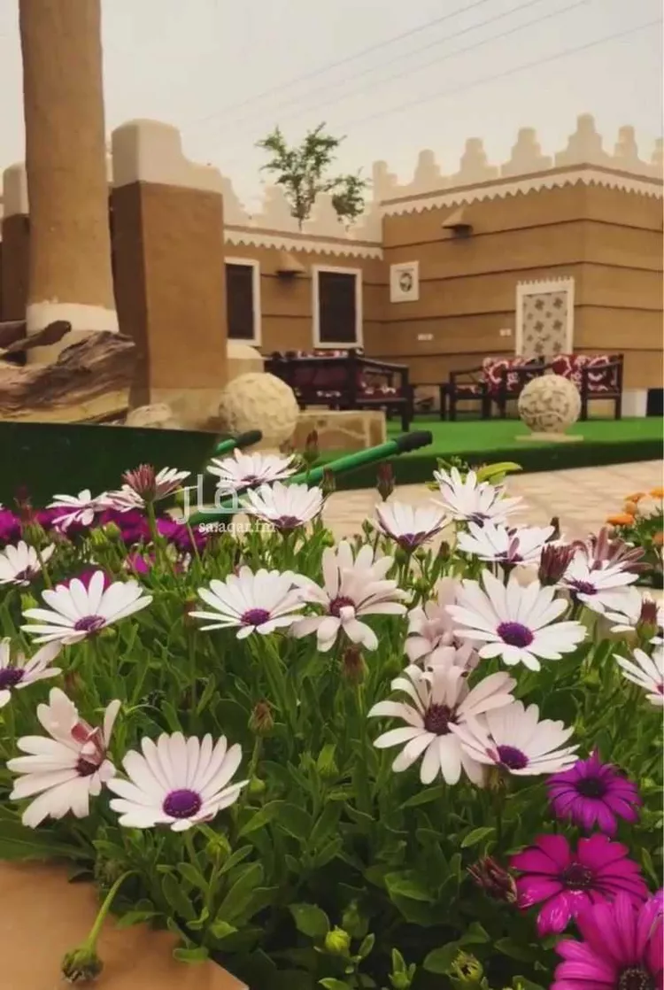 استراحة للبيع في شارع الربيع بن معاويه, حي قريه ديراب, مدينة قريه ديراب, منطقة الرياض صورة 5