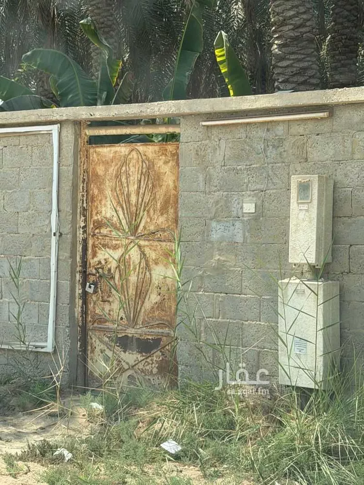 مزرعة للبيع في شارع 22426469, حي السحيمية, مدينة الاحساء, المنطقة الشرقية صورة 4