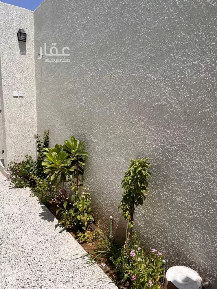 استراحة للإيجار في شارع خبيب بن اساف, حي المطار, مدينة المدينة المنورة, منطقة المدينة المنورة صورة 4
