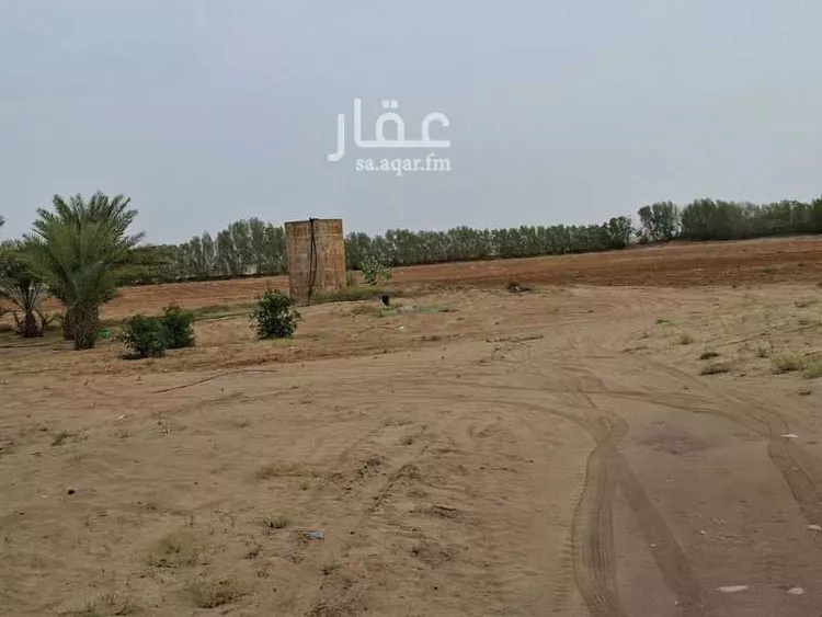 مزرعة للبيع في شارع هند بنت ابي امية ، احد بني زيد ، القنفذة صورة 3