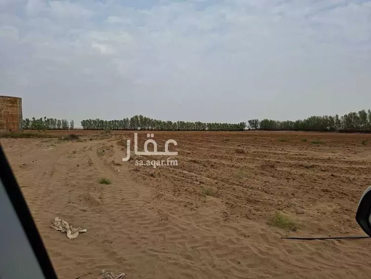 مزرعة للبيع في شارع هند بنت ابي امية ، احد بني زيد ، القنفذة صورة 2