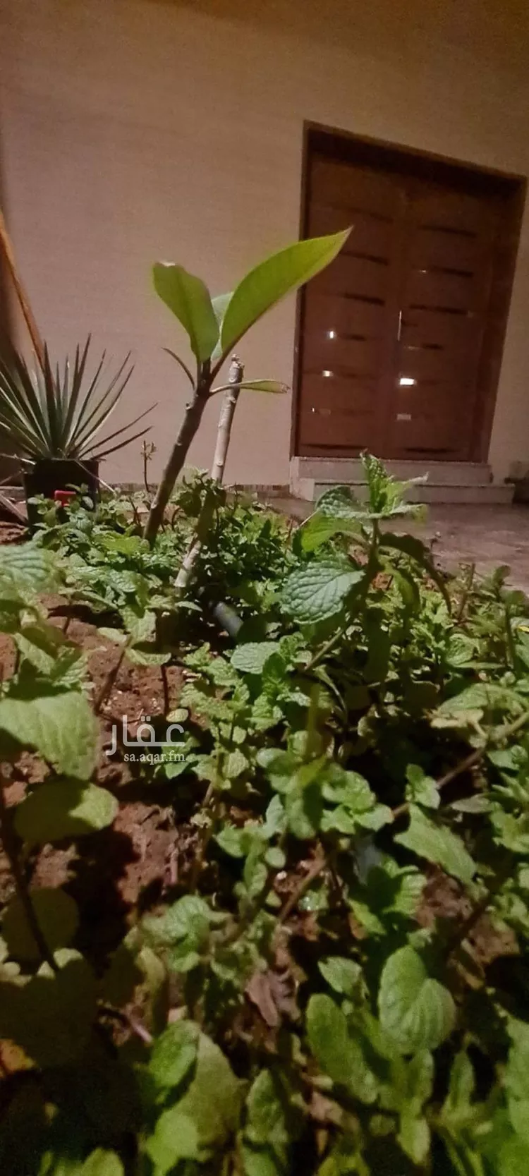 Villa for Rent in Riyadh Dhahrat Namar صورة 5