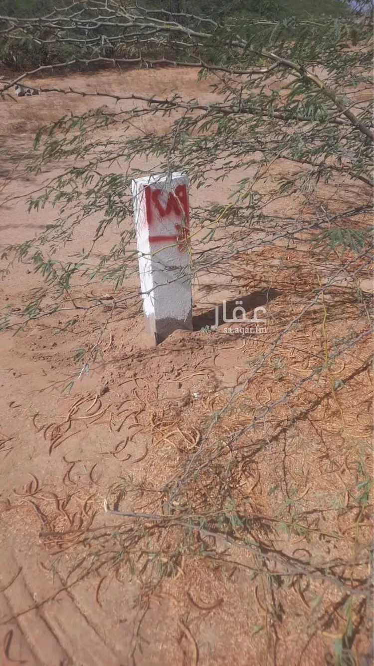 أرض للبيع في شارع الزهور 18, حي الزهور, مدينة جدة, منطقة مكة المكرمة صورة 2