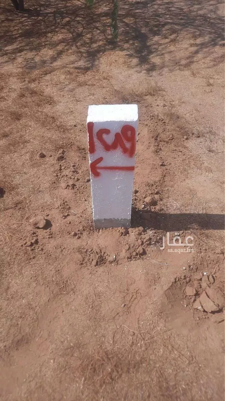 أرض للبيع في شارع الزهور 18, حي الزهور, مدينة جدة, منطقة مكة المكرمة صورة 3