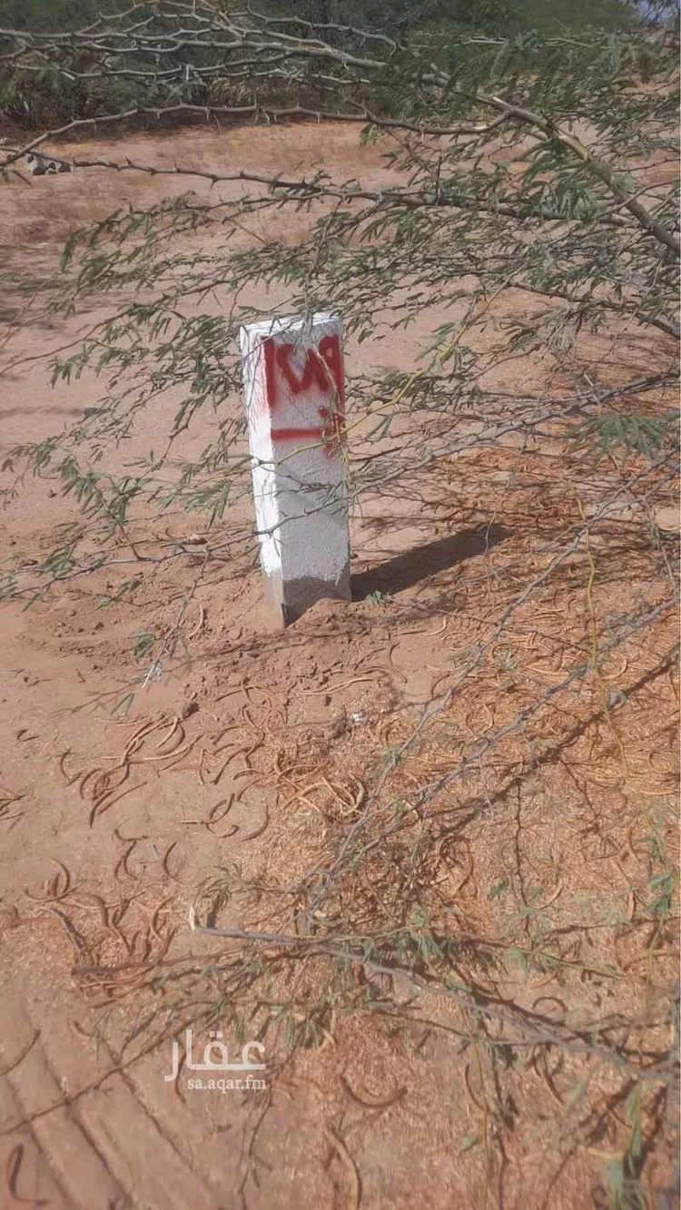 أرض للبيع في شارع الزهور 18, حي الزهور, مدينة جدة, منطقة مكة المكرمة صورة 2