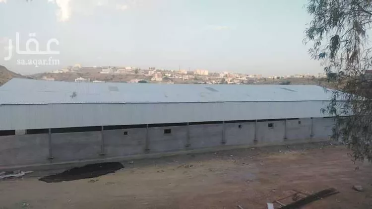 مستودع للإيجار في شارع 13132941, حي المصيف, مدينة الباحة, منطقة الباحة صورة 2