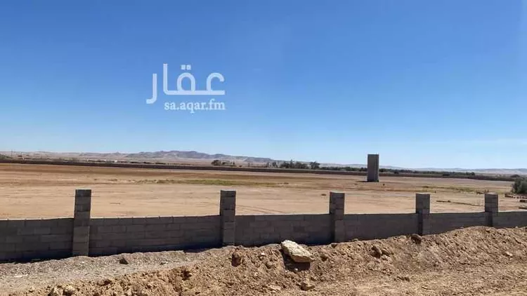 مزرعة للبيع في شارع 0000, حي مزارع شمال طريق المدينه(الرابعة), مدينة مزارع شمال طريق المدينه(الرابعة), منطقة تبوك صورة 2