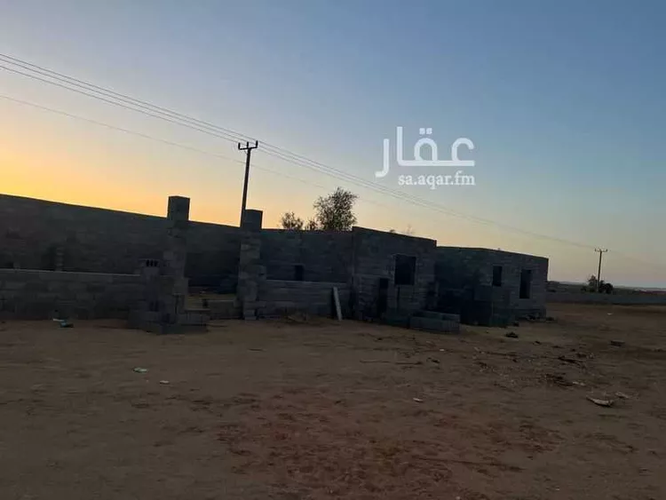 مزرعة للبيع في شارع 0000, حي مزارع شمال طريق المدينه(الرابعة), مدينة مزارع شمال طريق المدينه(الرابعة), منطقة تبوك 10