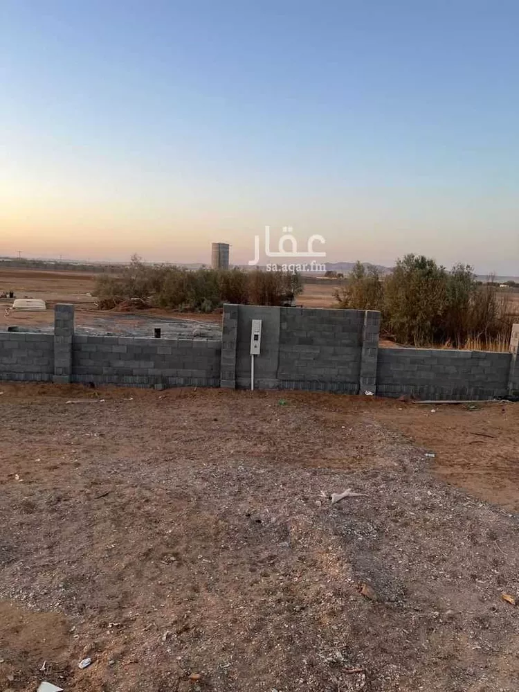 مزرعة للبيع في شارع 0000, حي مزارع شمال طريق المدينه(الرابعة), مدينة مزارع شمال طريق المدينه(الرابعة), منطقة تبوك صورة 5