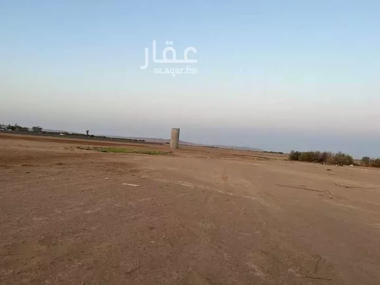 مزرعة للبيع في شارع 0000, حي مزارع شمال طريق المدينه(الرابعة), مدينة مزارع شمال طريق المدينه(الرابعة), منطقة تبوك 8