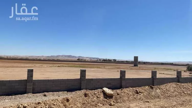 مزرعة للبيع في شارع 0000, حي مزارع شمال طريق المدينه(الرابعة), مدينة مزارع شمال طريق المدينه(الرابعة), منطقة تبوك 6