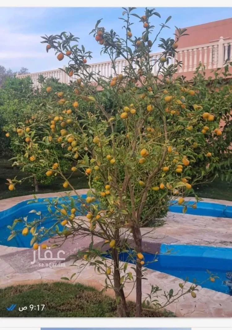Farm for Sale in Thadiq Al Janadriyah