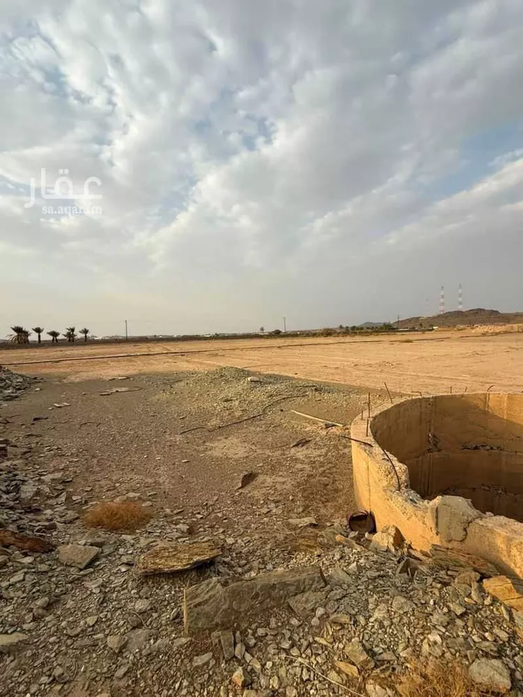 Farm for Sale in Al Bahah Raghdan صورة 2