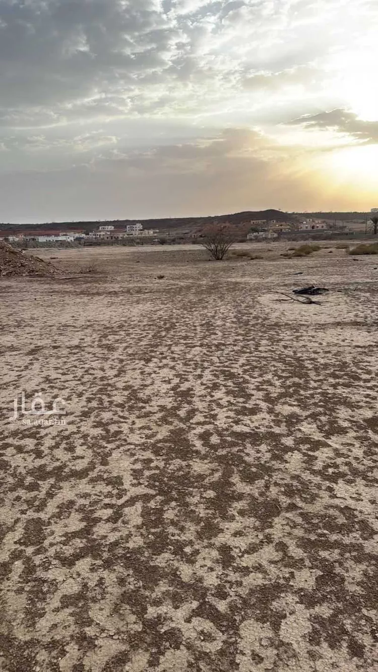 Farm for Sale in Al Bahah Raghdan صورة 4