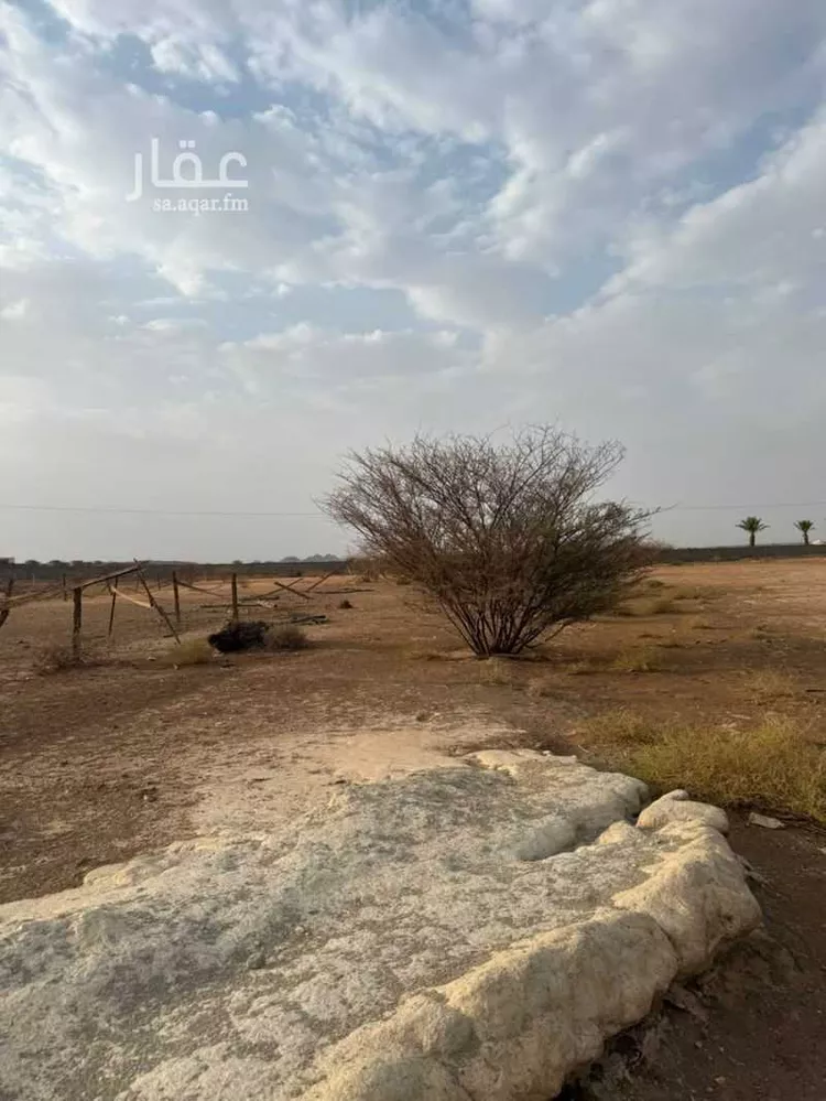 مزرعة للبيع في شارع المنذر بن حرام ، الحشرج ، العقيق 9