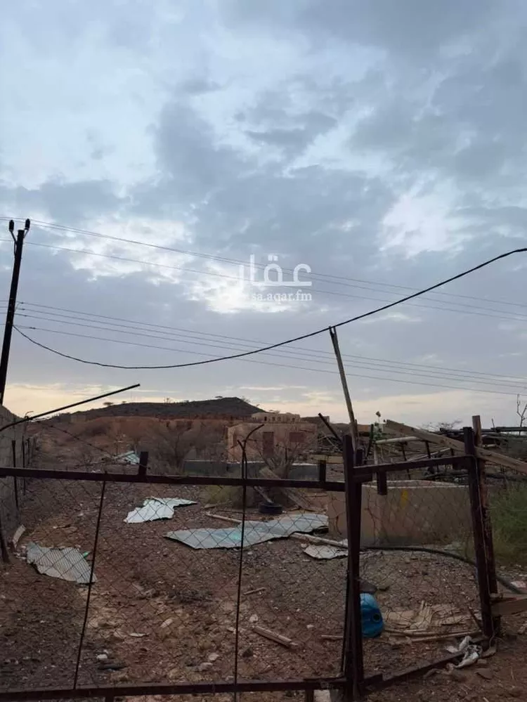 Farm for Sale in Al Bahah Raghdan صورة 3