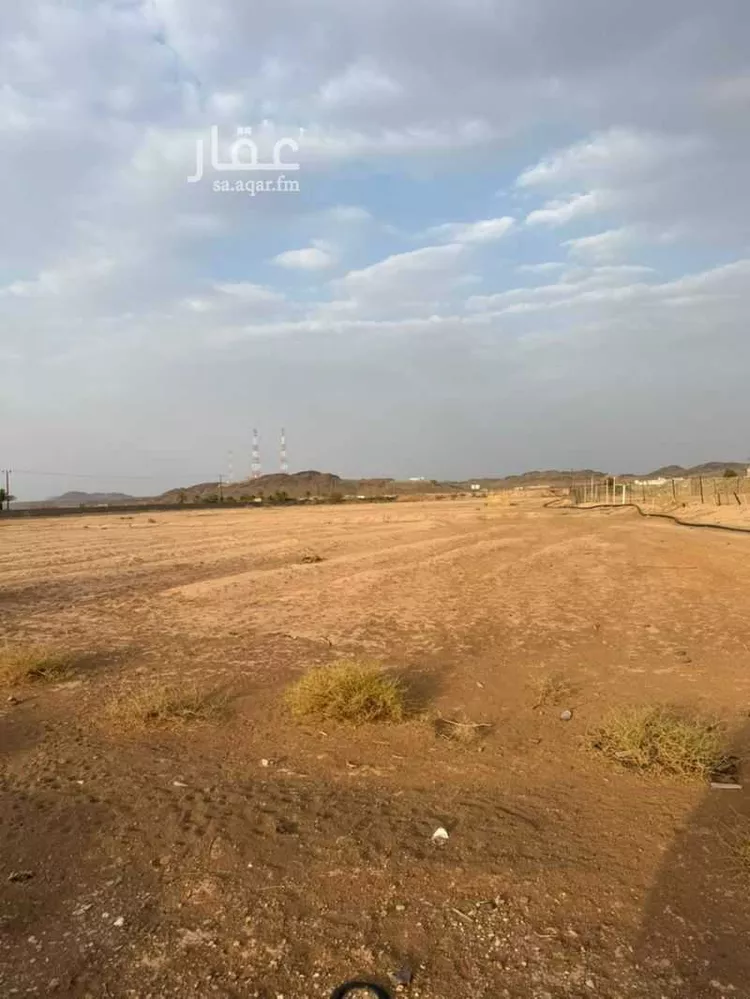مزرعة للبيع في شارع المنذر بن حرام ، الحشرج ، العقيق 11