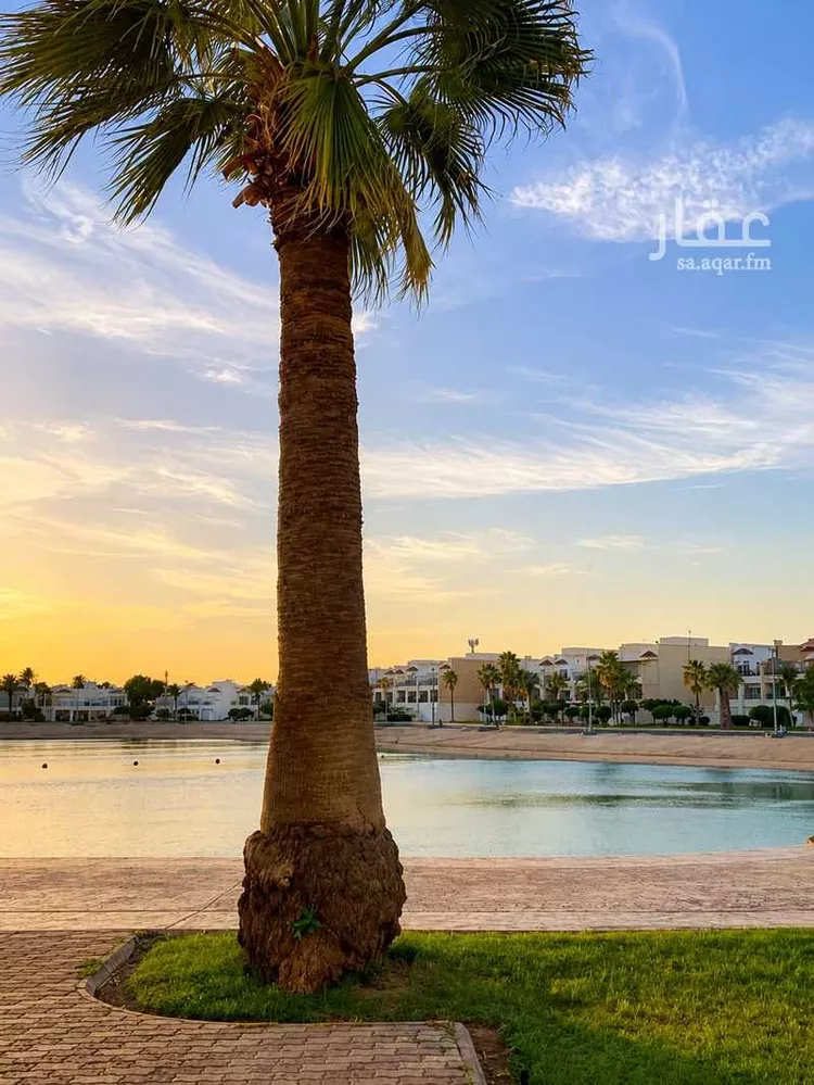 شقة للبيع في شارع 2929305, حي درة العروس, مدينة جدة, منطقة مكة المكرمة 10