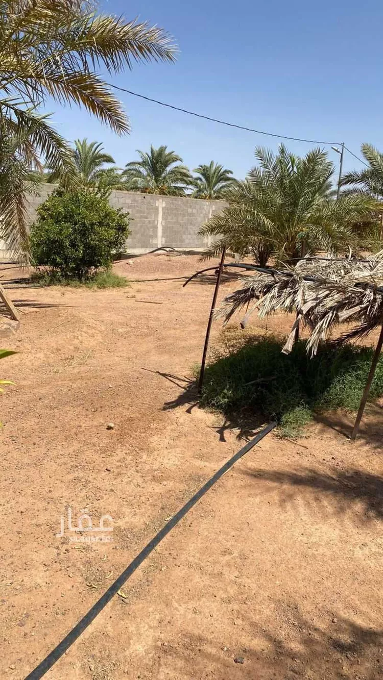 Farm for Sale in Hail An Nasim ุตูุฑุฉ 2