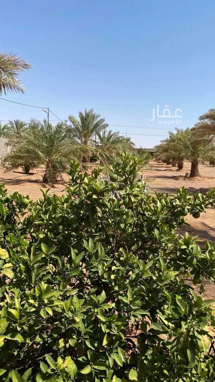 Farm for Sale in Hail An Nasim ุตูุฑุฉ 4