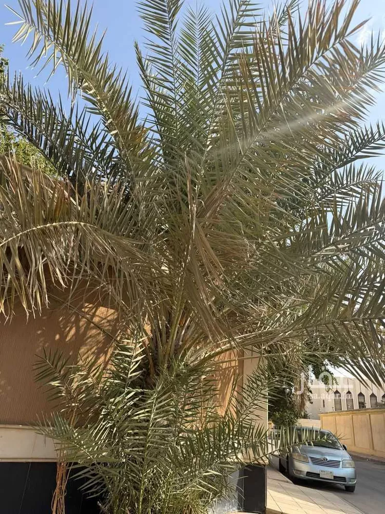 فيلا للبيع في شارع زهير بن المسيب, حي الربوة, مدينة الرياض, منطقة الرياض 28