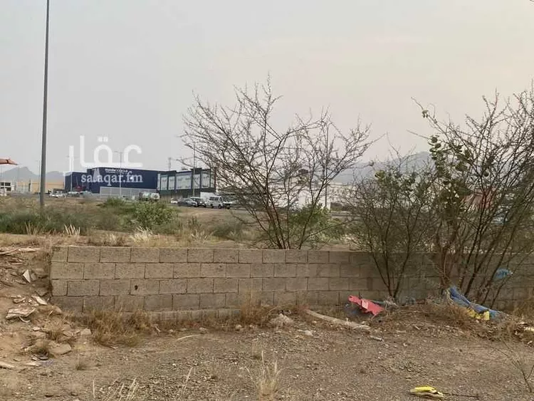 أرض للبيع في شارع حمزة الزيات ، حي الحيلة الشرقي ، محايل ، محايل صورة 5