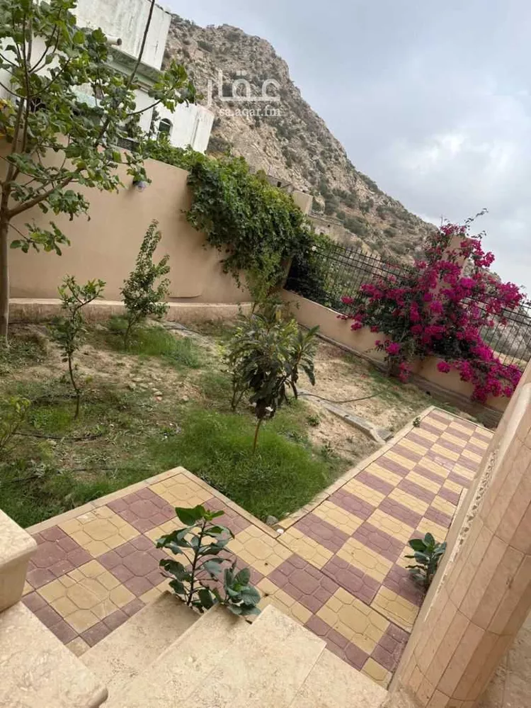 شقة للإيجار في حي الشفاء, مدينة الباحة, منطقة الباحة صورة 3