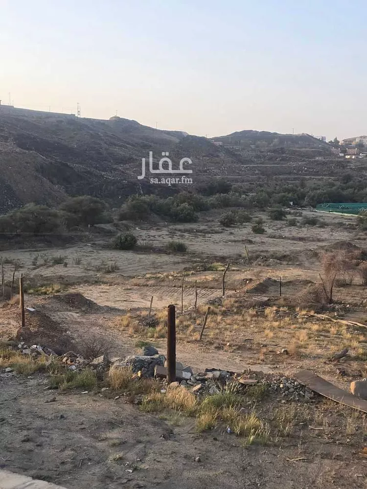 مزرعة للبيع في شارع الزهور 34 ، بيشة ، خميس مشيط صورة 2