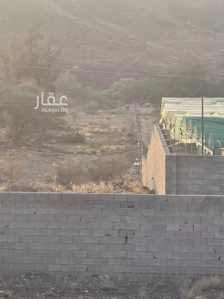 مزرعة للبيع في شارع بحسل الواسطي ، حي الزهور ، خميس مشيط ، خميس مشيط