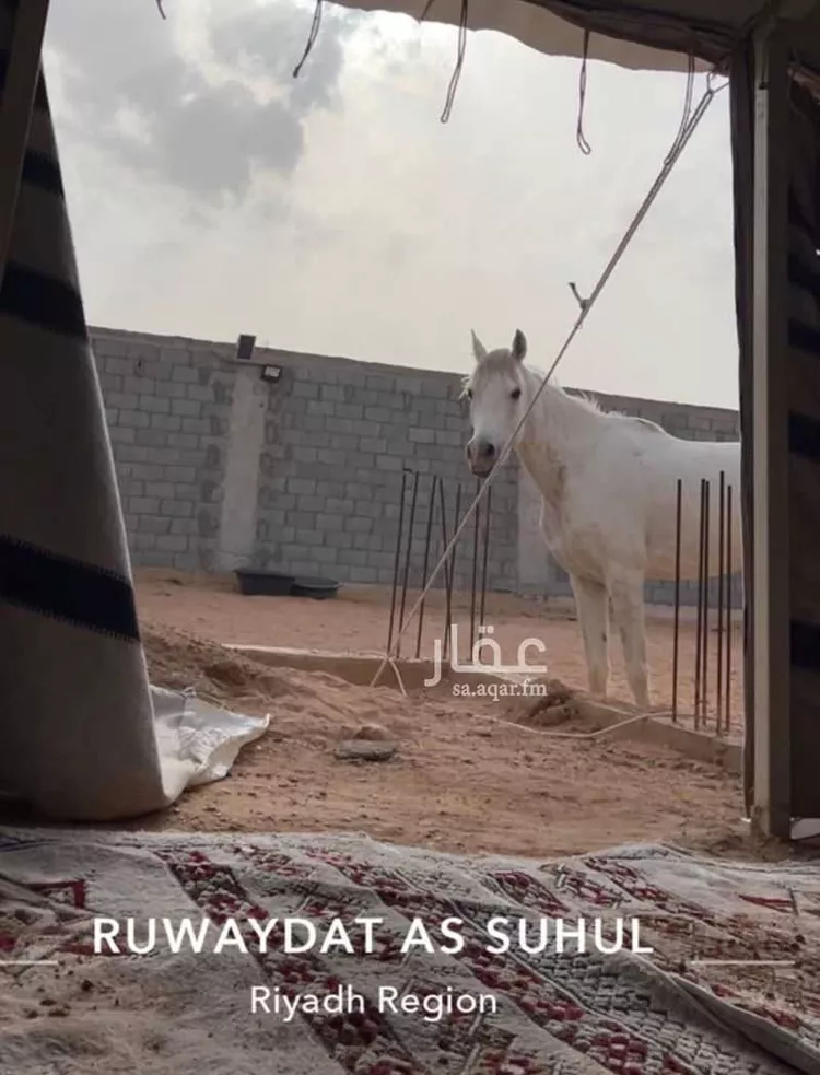 Land for Sale in Thadiq Al Janadriyah