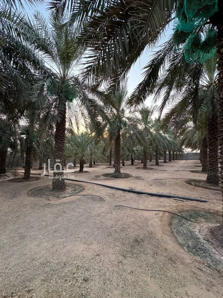 مزرعة للبيع في شارع البصر 786, حي البصر2, مدينة البصر, منطقة القصيم 20