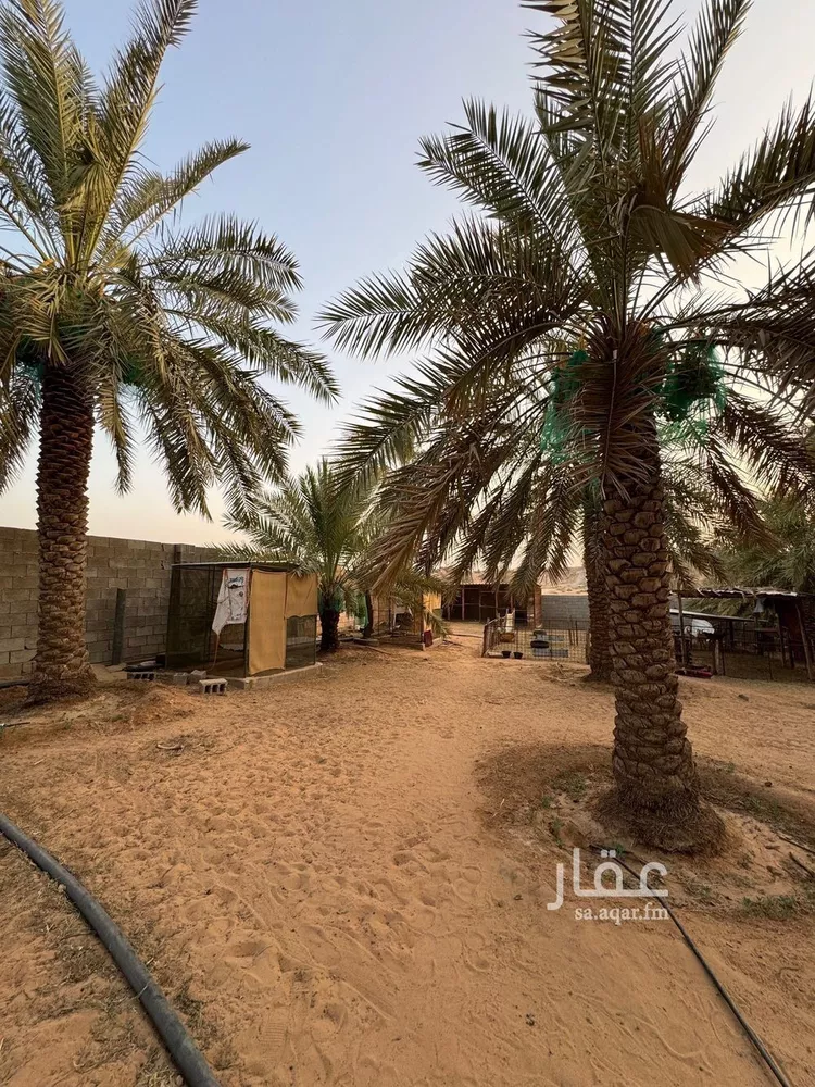 مزرعة للبيع في شارع البصر 786, حي البصر2, مدينة البصر, منطقة القصيم 24