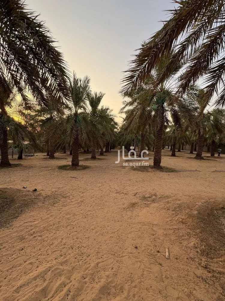 مزرعة للبيع في شارع البصر 786, حي البصر2, مدينة البصر, منطقة القصيم 21