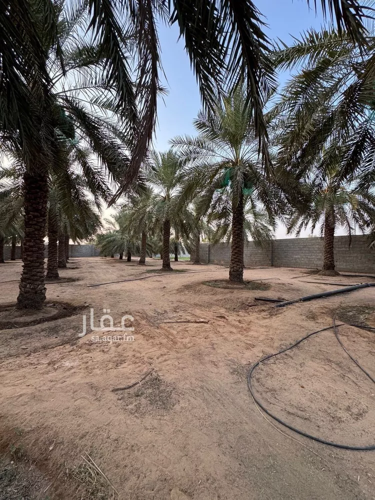 مزرعة للبيع في شارع البصر 786, حي البصر2, مدينة البصر, منطقة القصيم 25