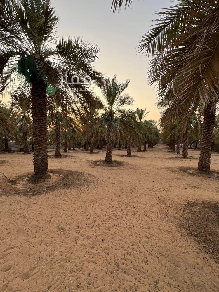 مزرعة للبيع في شارع البصر 786, حي البصر2, مدينة البصر, منطقة القصيم 19