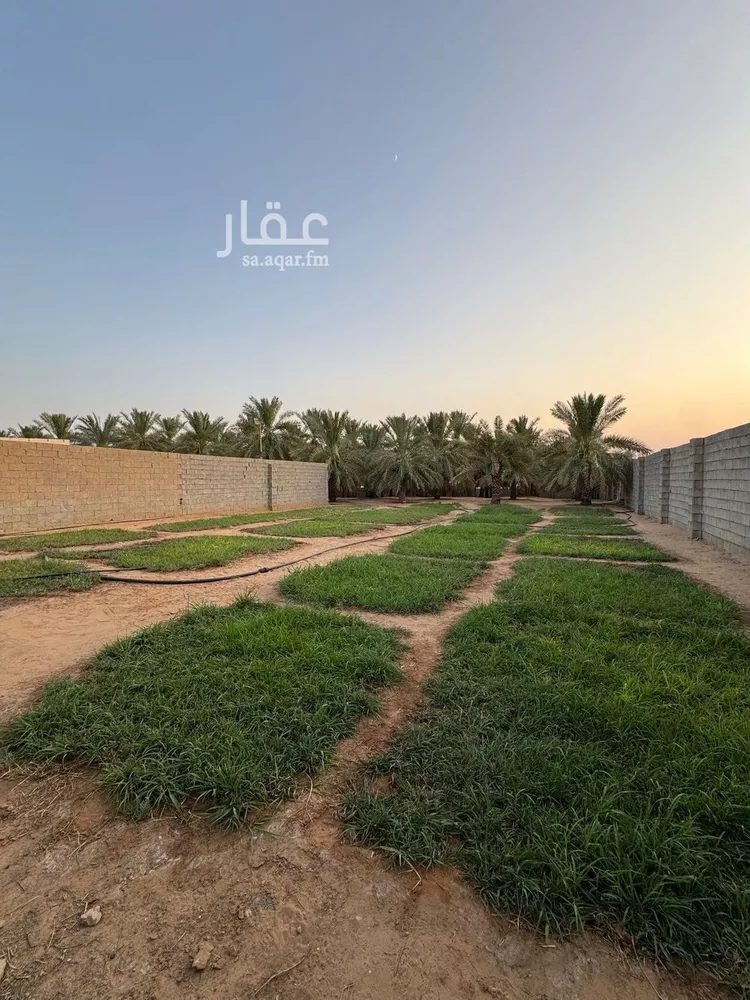 مزرعة للبيع في شارع البصر 786, حي البصر2, مدينة البصر, منطقة القصيم 26